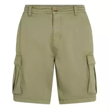 Шорты Oneill Essentials cargo, зеленый