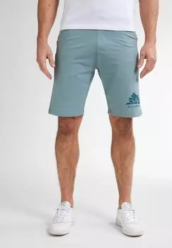 Шорты Petrol Industries, деним