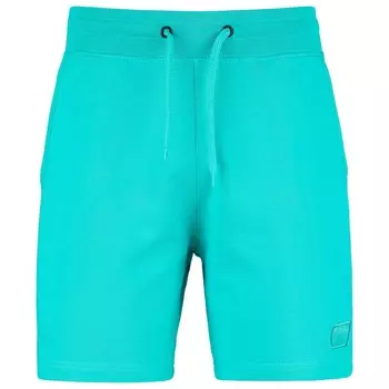 Шорты Picture Augusto, цвет Spectra Green