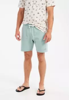 Шорты PRTTEDOR Protest, сине-зеленый