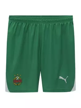 Шорты PUMA Regular Workout Pants, зеленый