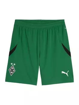 Шорты PUMA Regular Workout Pants, зеленый