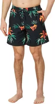 Шорты Quiksilver 17" Everyday Mix Volley Shorts, черный