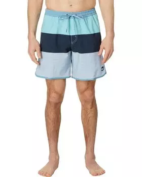 Шорты Quiksilver 17" Surfsilk Tijuana Volley Shorts, синий