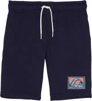 Шорты Quiksilver Easy Day Track Shorts, цвет Navy Blazer 1