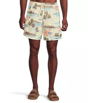 Шорты Quiksilver Everyday Mix 17 Nb Volley, цвет Silver Birch