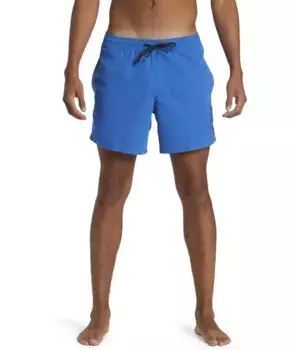 Шорты Quiksilver "EVERYDAY SOLID VOLLEY 15", синий