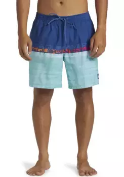 Шорты Quiksilver "EVERYDAY WORDBLOCK VOLLEY 17", синий