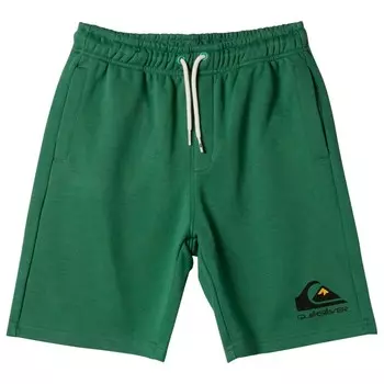 Шорты Quiksilver Kid's Easy Day Jogger Short, цвет Frosty Spruce