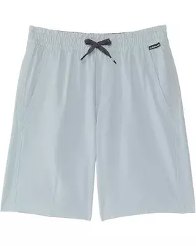 Шорты Quiksilver Kids Taxer Amphibian 13, цвет Quarry