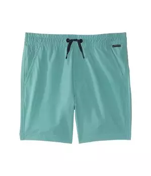 Шорты Quiksilver Kids Taxer Amphibian(Little Kids), зеленый
