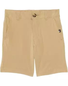 Шорты Quiksilver Kids Union Amphibian 13, хаки