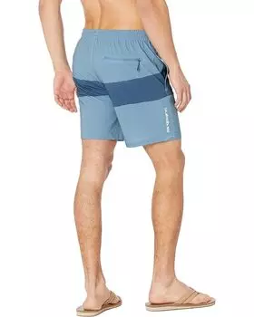 Шорты Quiksilver Omni Stretch 17" Shorts, цвет Provincial Blue