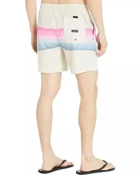 Шорты Quiksilver Resin Tint 17" Volley, цвет Birch 1