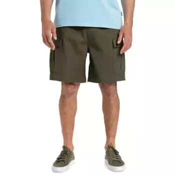 Шорты Quiksilver Taxer Ws cargo, зеленый