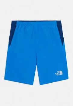 Шорты REACTOR UNISEX The North Face, синий