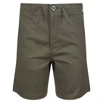 Шорты Regatta Alber, зеленый