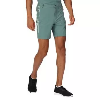 Шорты Regatta Mountain II, зеленый