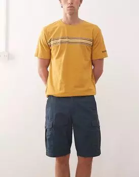 Шорты Regatta Ruwan синего цвета