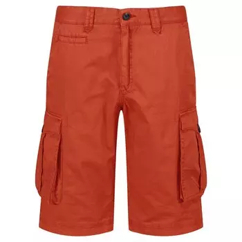 Шорты Regatta Shorebay Vintage, коричневый