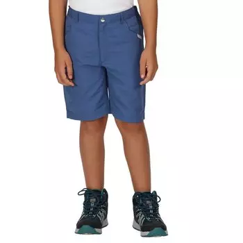 Шорты Regatta Sorcer II Shorts Pants, синий