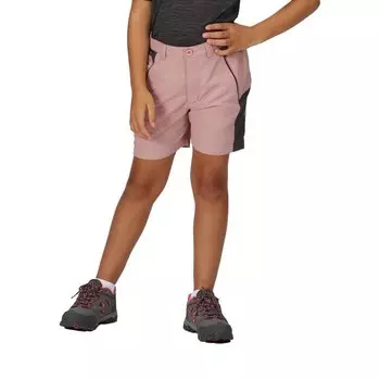 Шорты Regatta Sorcer Mnt III, фиолетовый