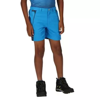 Шорты Regatta Sorcer Mnt III, синий