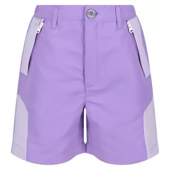 Шорты Regatta Sorcer Mount II, фиолетовый