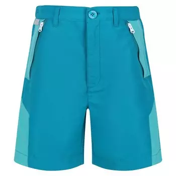 Шорты Regatta Sorcer Mount II, синий