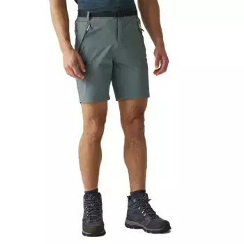 Шорты Regatta Xert Stretch III, серый