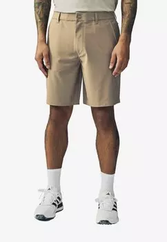 Шорты REGULAR FIT Next, бежевый