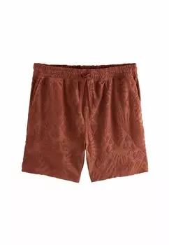 Шорты REGULAR FIT Next, коричневый