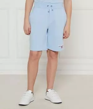 Шорты Regular fit Polo Ralph Lauren, синий
