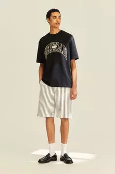 Шорты Relaxed Fit из хлопкового твила H&amp;M, белые/синие полосы
