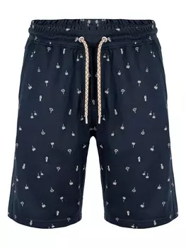 Шорты Roadsign Sweatbermudas, темно-синий