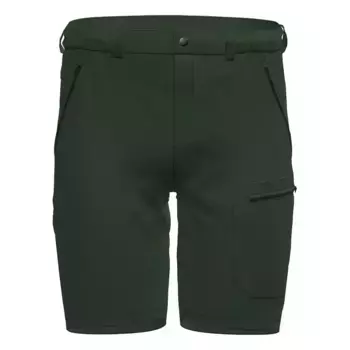 Шорты Rock Experience Observer 3.0, зеленый