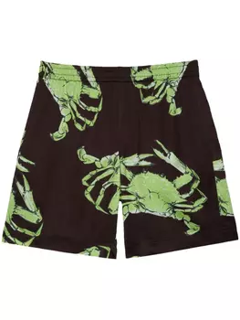 Шорты с графическим принтом MSGM, коричневый