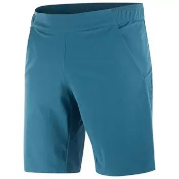 Шорты Salomon Wayfarer Ease, цвет Deep Dive