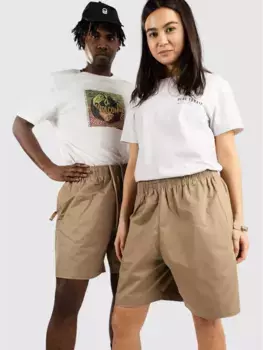 Шорты SB Skyring Nike, хаки