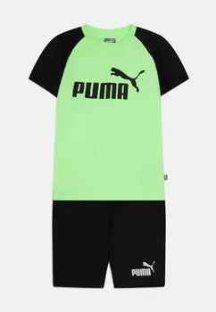 Шорты SET Puma, зеленый