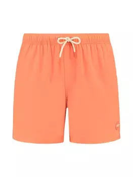 Шорты Shiwi Scott, оранжевый