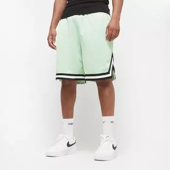 Шорты Small Signature Essential Mesh Karl Kani, цвет light mint