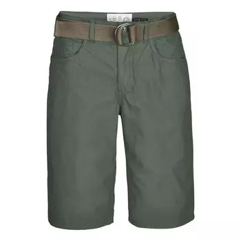 Шорты спортивные Giga Dx, цвет grn/asphaltgrau