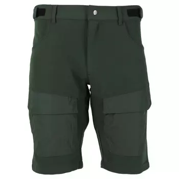 Шорты спортивные Whistler, цвет dunkelgrn/dunkelgrn/dunkelgrn