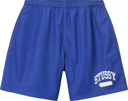 Шорты Stussy Arch Mesh Short 'Purple', фиолетовый