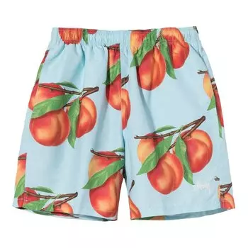 Шорты Stussy Peaches Water Short, синий