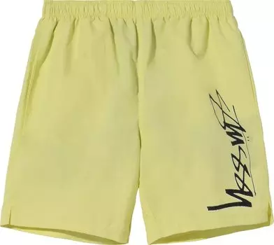 Шорты Stussy Smooth Stock Water Short 'Lime', зеленый