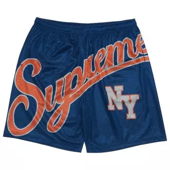 Шорты Supreme Big Script Mesh Short, синий