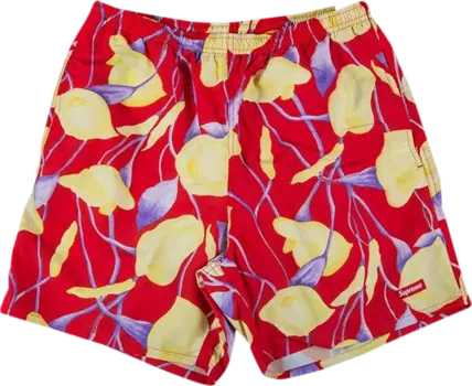 Шорты Supreme Nylon Water Short 'Red Floral', красный