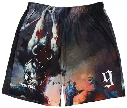 Шорты Supreme x Frank Frazetta Soccer Short 'Death Dealer', разноцветный